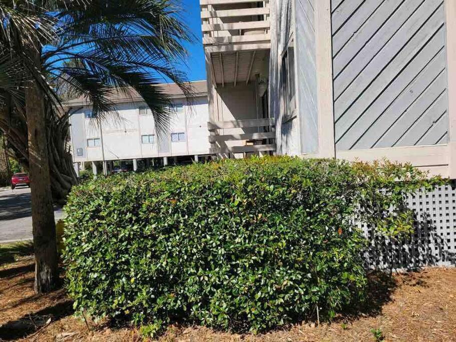 2022 Renovated 2-Bdrm Cozy, Lovely Condo W/Parking! هيلتون رئيس جزيرة المظهر الخارجي الصورة